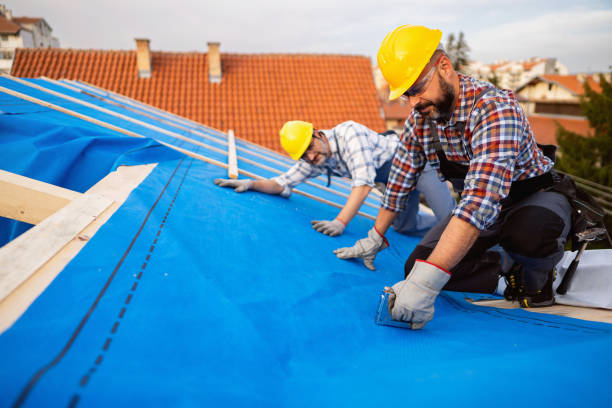 Quick and Trustworthy Emergency Roof Repair Services in North Platte, NE